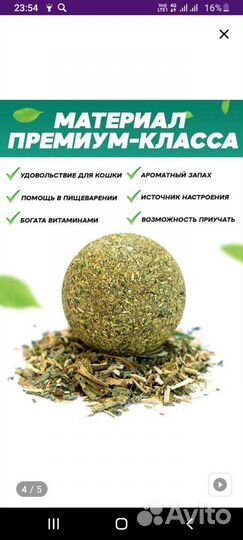 Кошачья мята