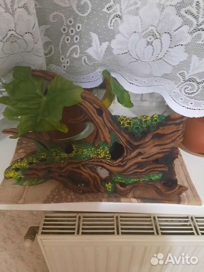 Коряга в аквариум