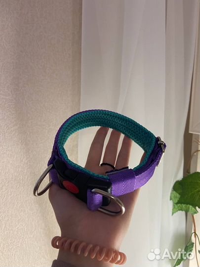 Амуниция для собак ручной работы