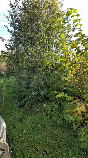 Участок 10 сот. (СНТ, ДНП)