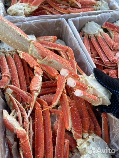 Клешни краба стригуна