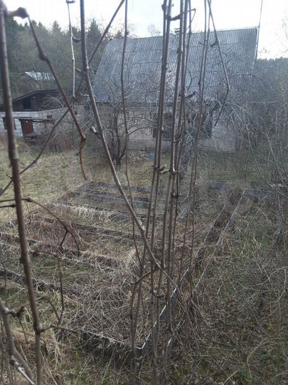 Участок 8 сот. (СНТ, ДНП)