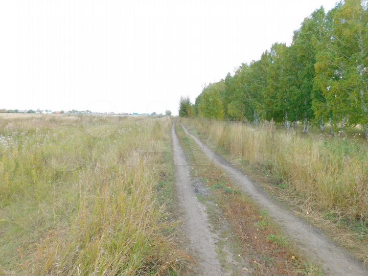 Участок 3,4 га (СНТ, ДНП)