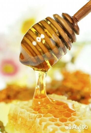 Свежий натуральный мед 2023г