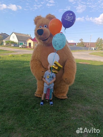 Поздравление бурого медведя