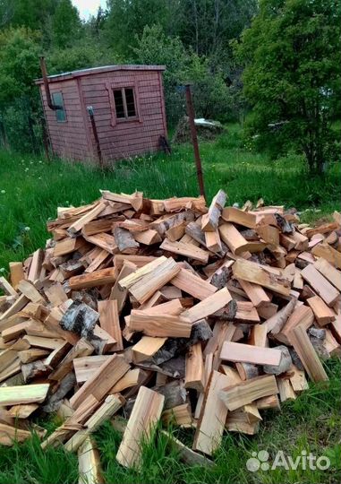 Дрова Береза