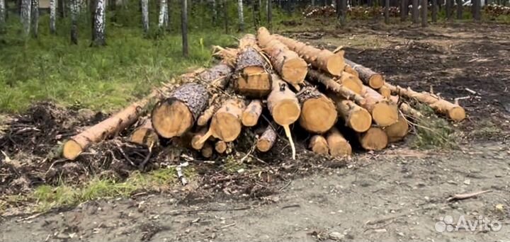 Продам Лес кругляк сосна
