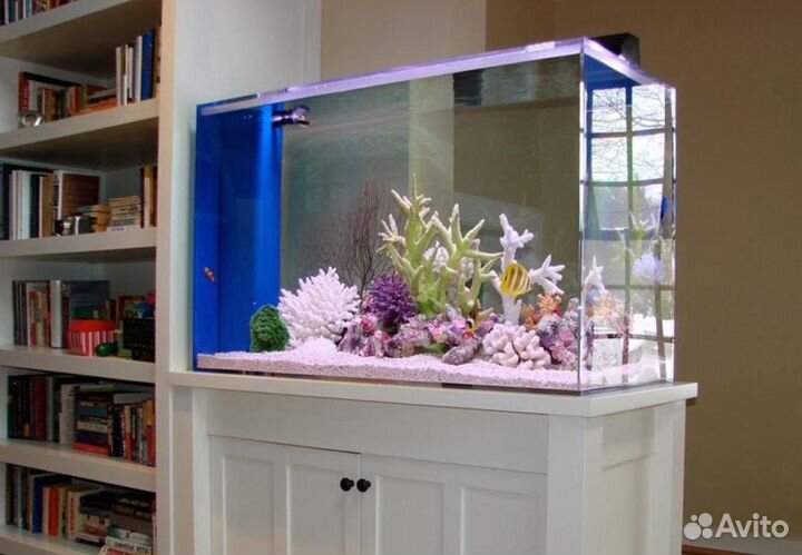 Установка, оформление и обслуживание аквариума