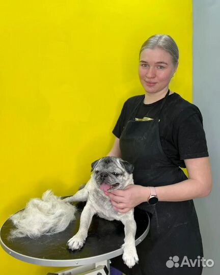 Грумер стрижка собак