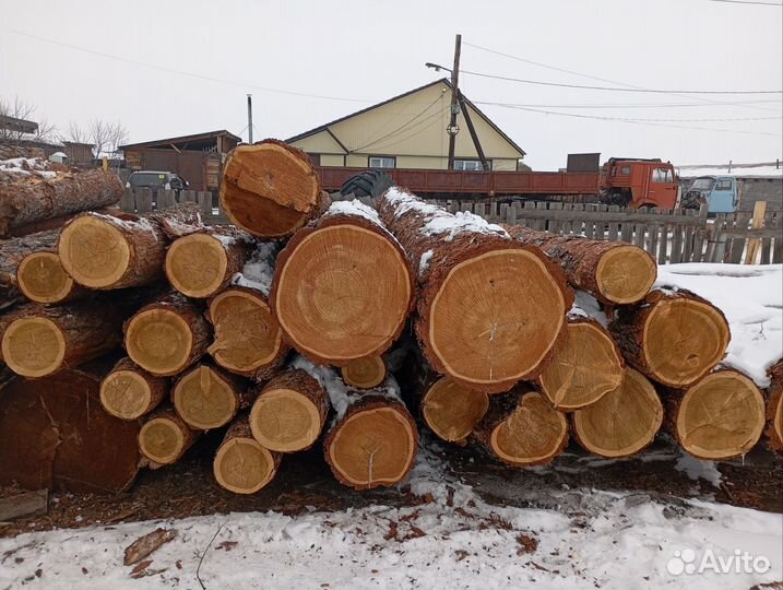 Лиственница