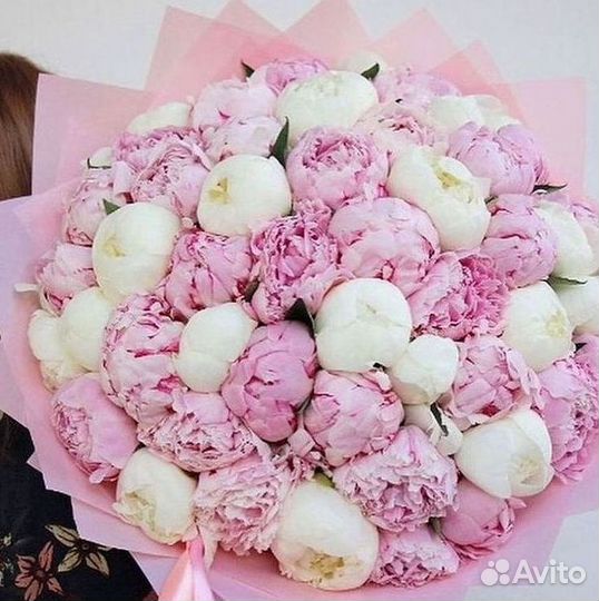 Пионы Букет пионов