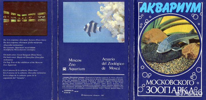 «Мир аквариума»