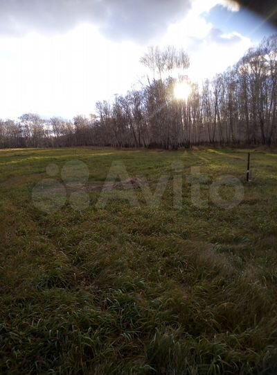 Участок 17 сот. (СНТ, ДНП)