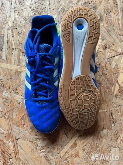 Футзалки Adidas Top Sala