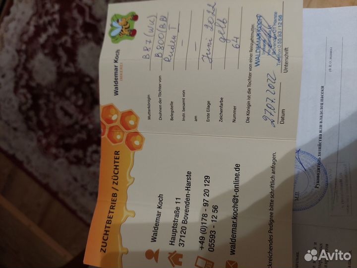 Пчеломатки f1 карника бакфаст пчелопакеты