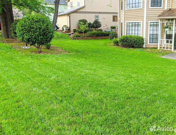 Семена газонная трава 20 кг Спортивная