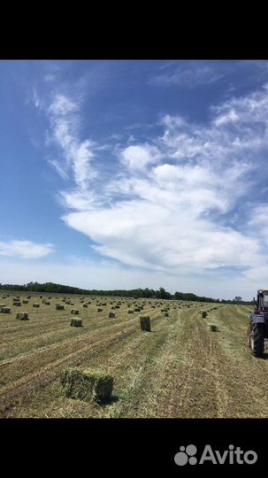 Тюкование сена