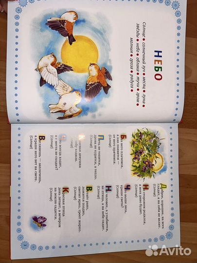 Загадки самая большая книга