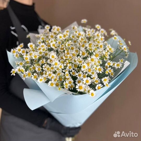 Ромашка Доставка цветов Букет из ромашек