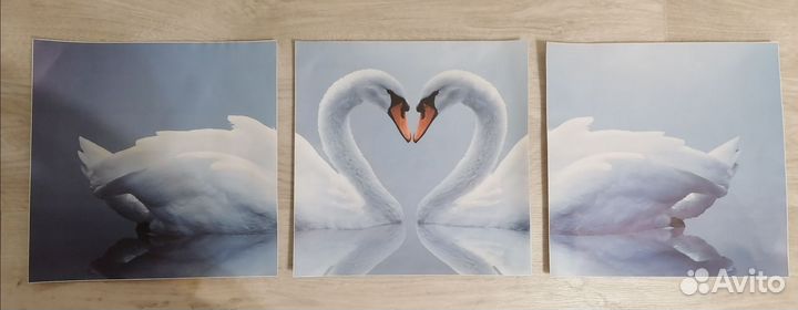 Интерьерные наклейки