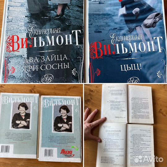 Екатерина Вильмонт детективы