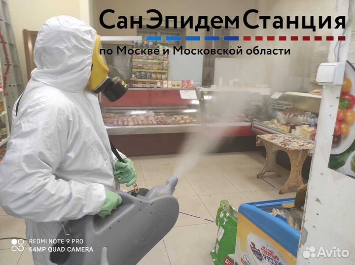 Уничтожение тараканов, клопов, клещей, крыс, ос