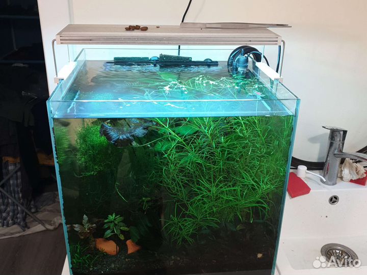 Аквариум оптивайт 45х45х45