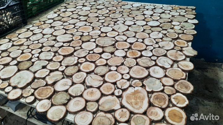 Спилы из можевельника