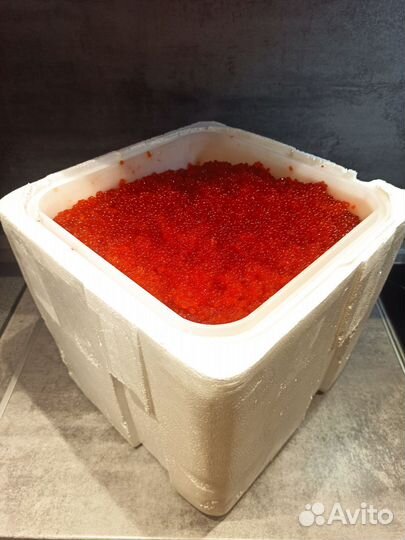 Красная икра горбуши 2023