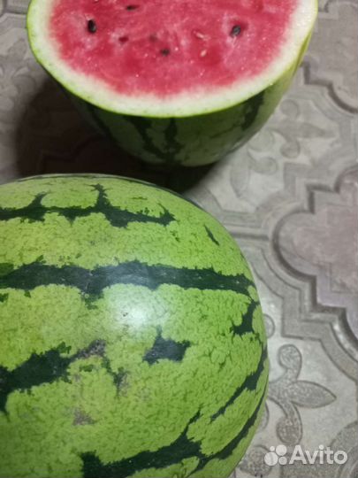 Арбуз бедуин