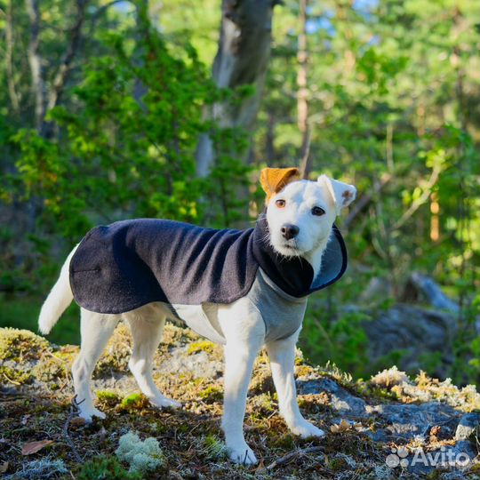 Зимняя попона Paikka Recovery Winter Shirt