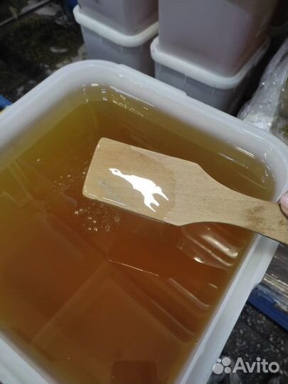 Свежий мёд акация Качка 2023 г опт