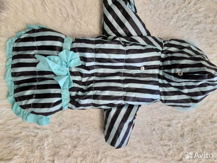 Одежда для собаки