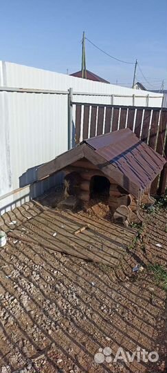 Будка для собаки