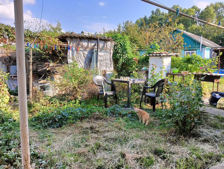 Дом 43,9 м² на участке 3 сот.