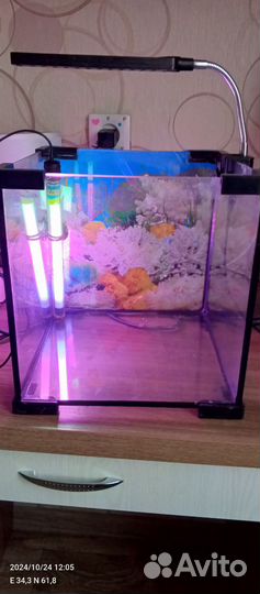 Аквариум