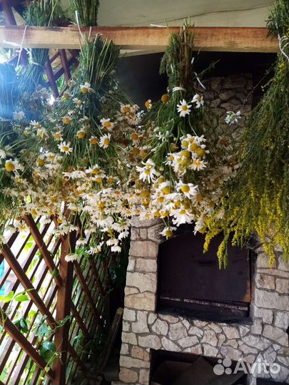 Травы для бани