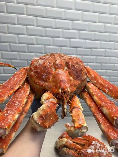 Камчатский краб целый