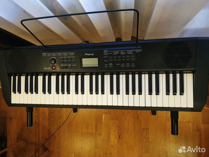 Синтезатор Ringway TB100 + стойка