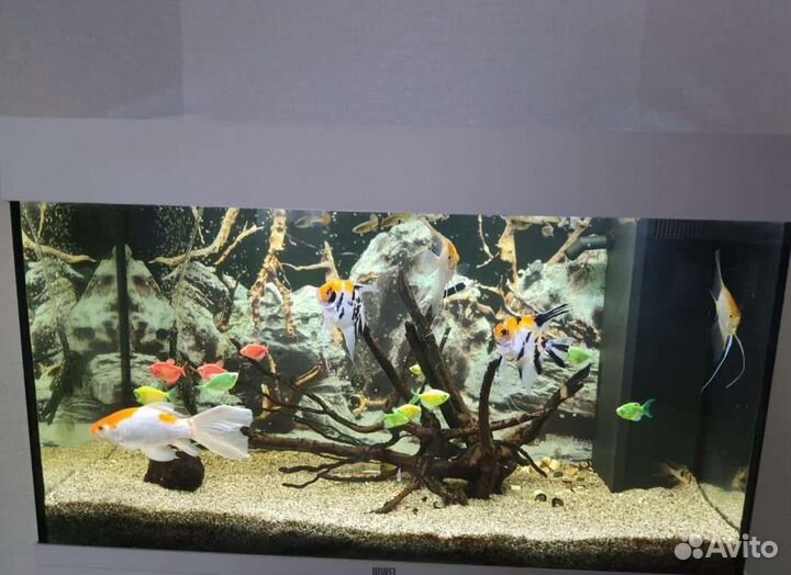 Аквариум juwel 125 литров