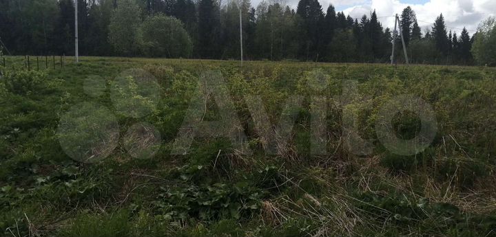 Участок 20 сот. (СНТ, ДНП)