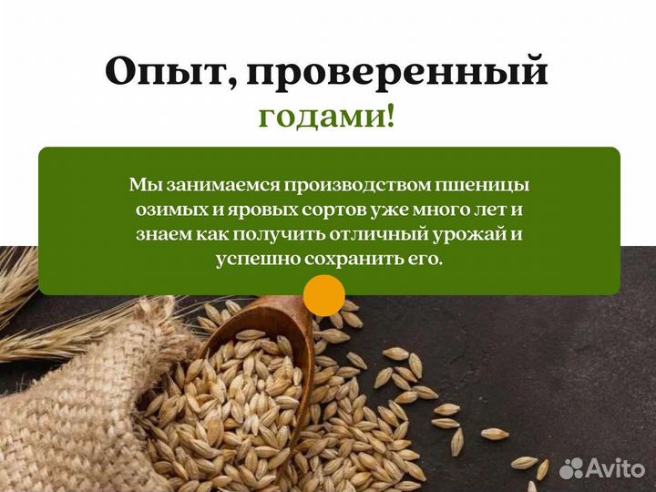 Горох с поля (сырье) (кг)