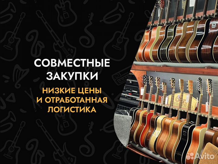 Музыкальный магазин франшиза