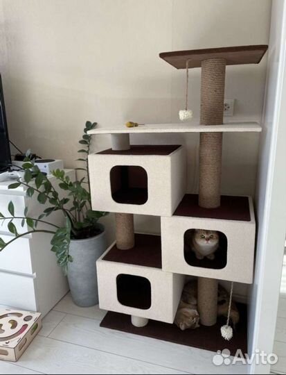 Комплекс для кошек