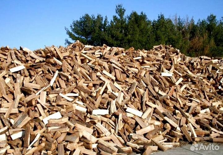 Дрова из леса