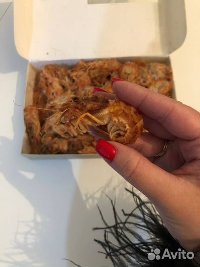 Креветка медведка, углохвостая креветка, северная