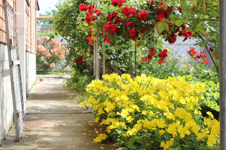 Комната 12 м², 1/1 эт.