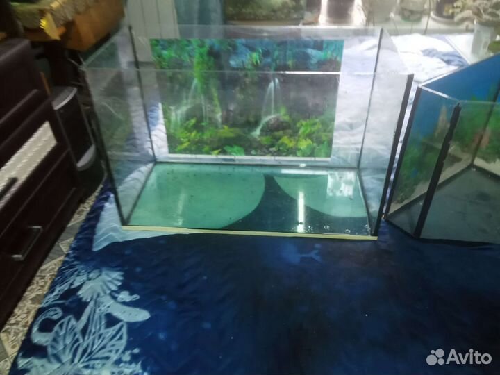 Аквариум
