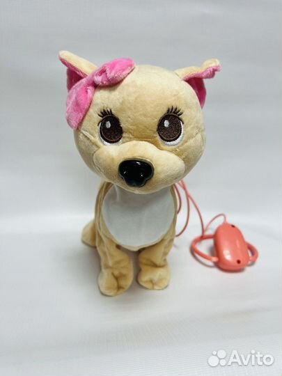 Собачка чичилав