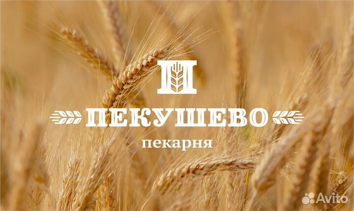 Логотип, фирменный стиль, дизайн, брендбук, гайд